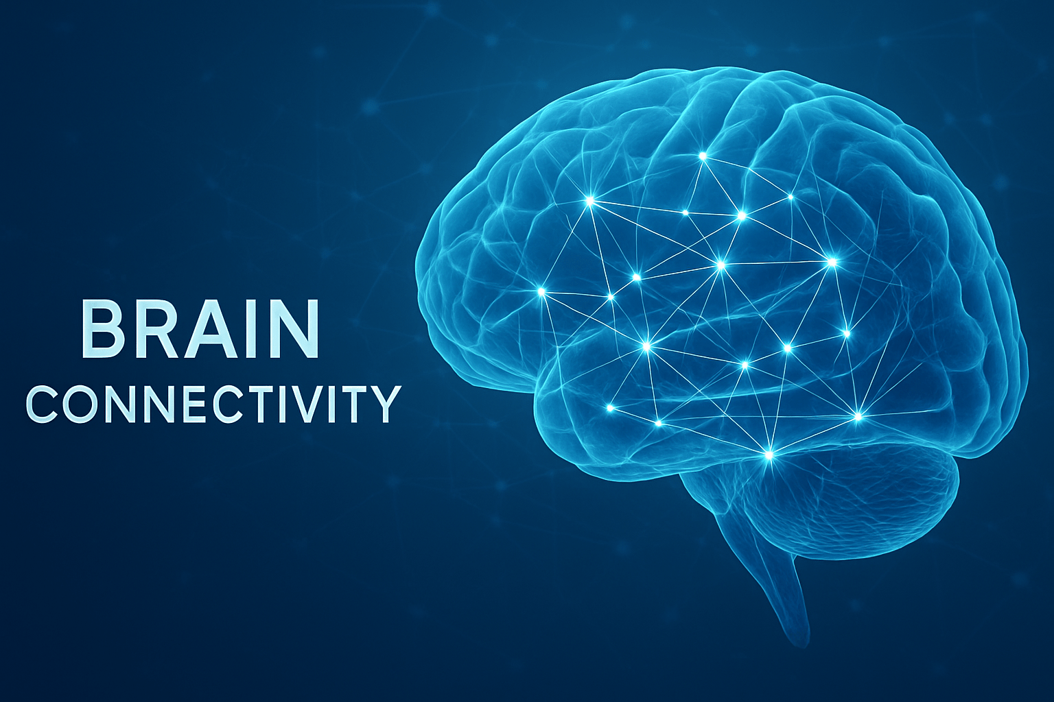 Dynamics and Brain Connectivity